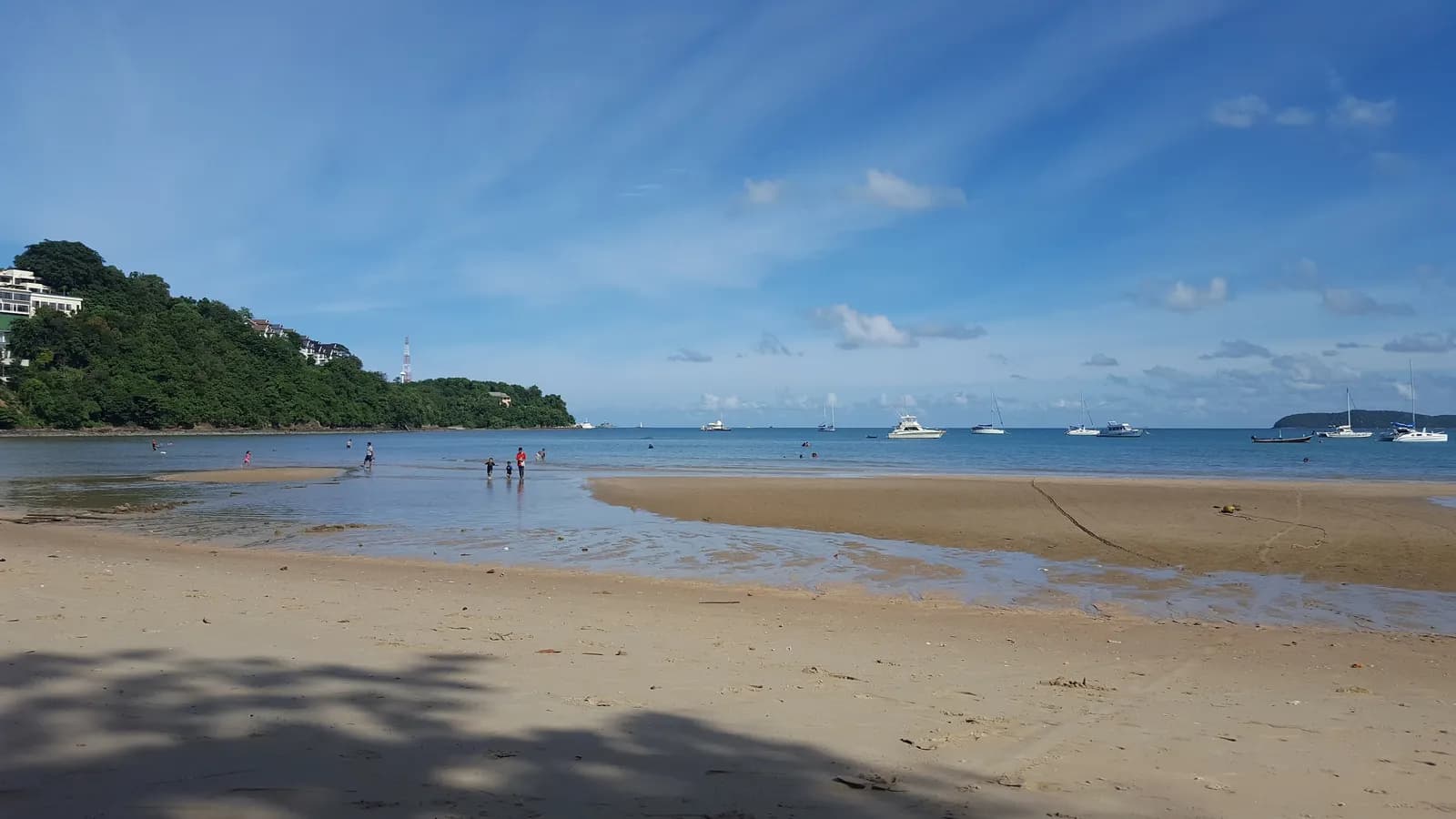 the long shore at low tide