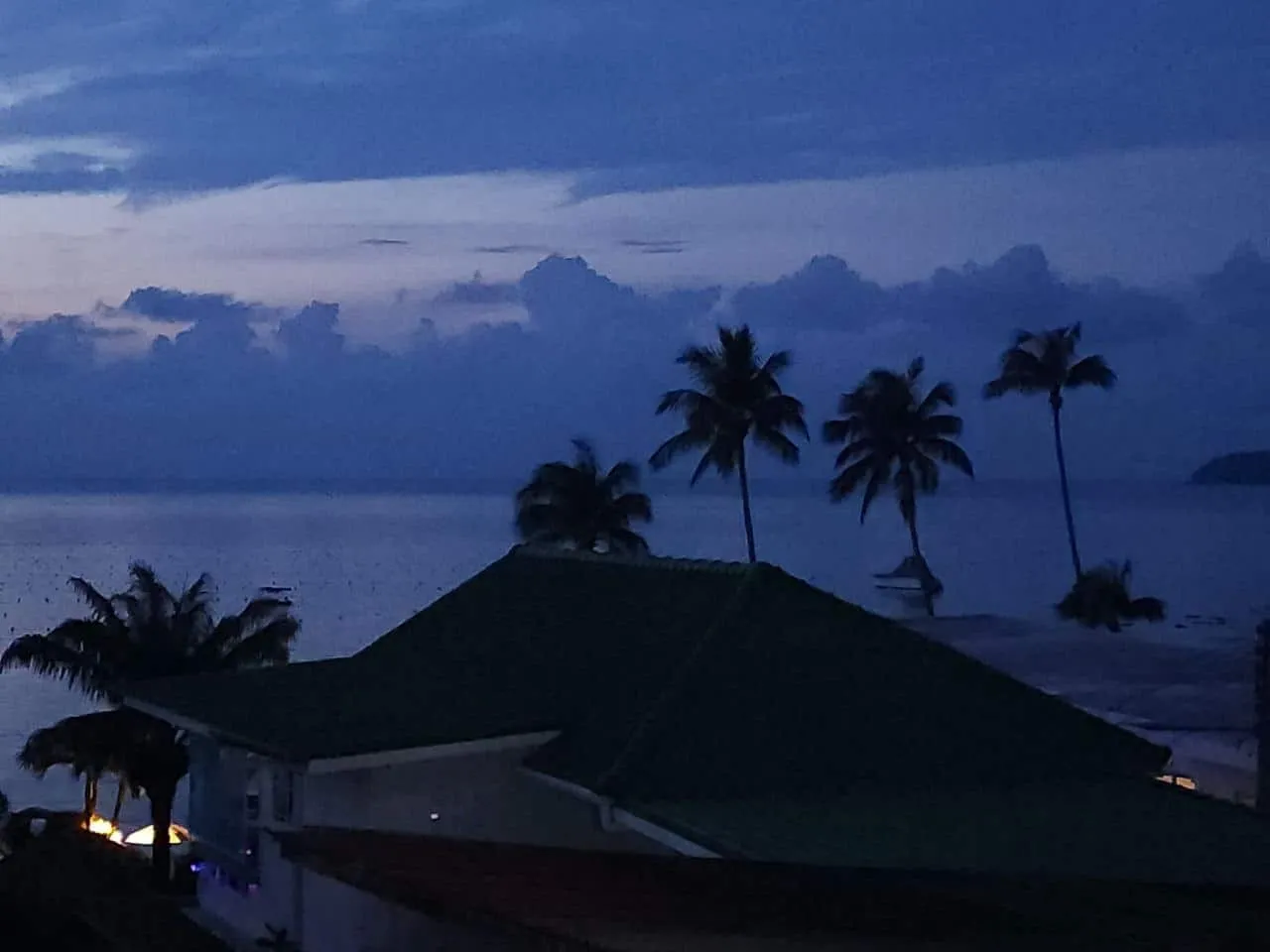 early morning, palms against the sky