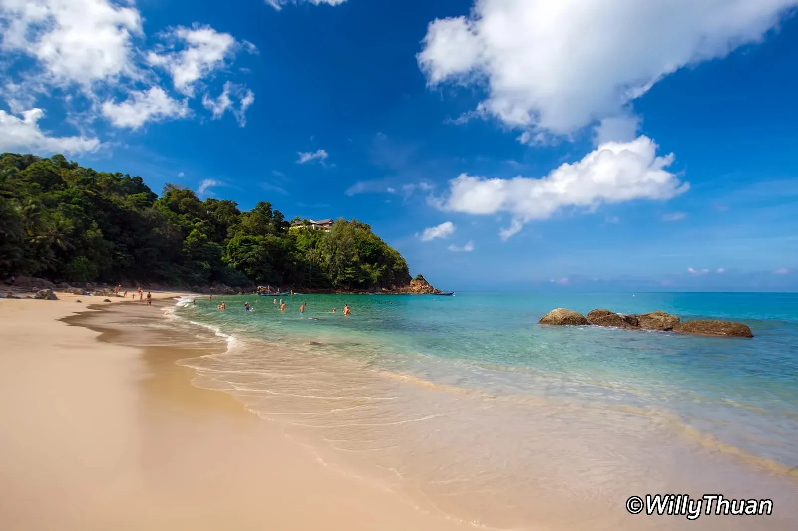the whole cove in the morning