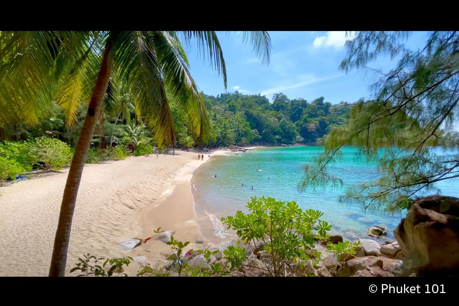 sand, palms and clear water