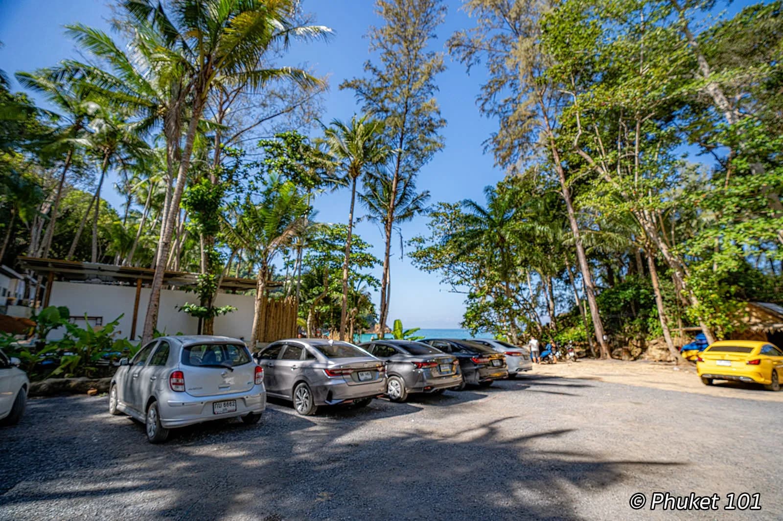 the parking area under the palms