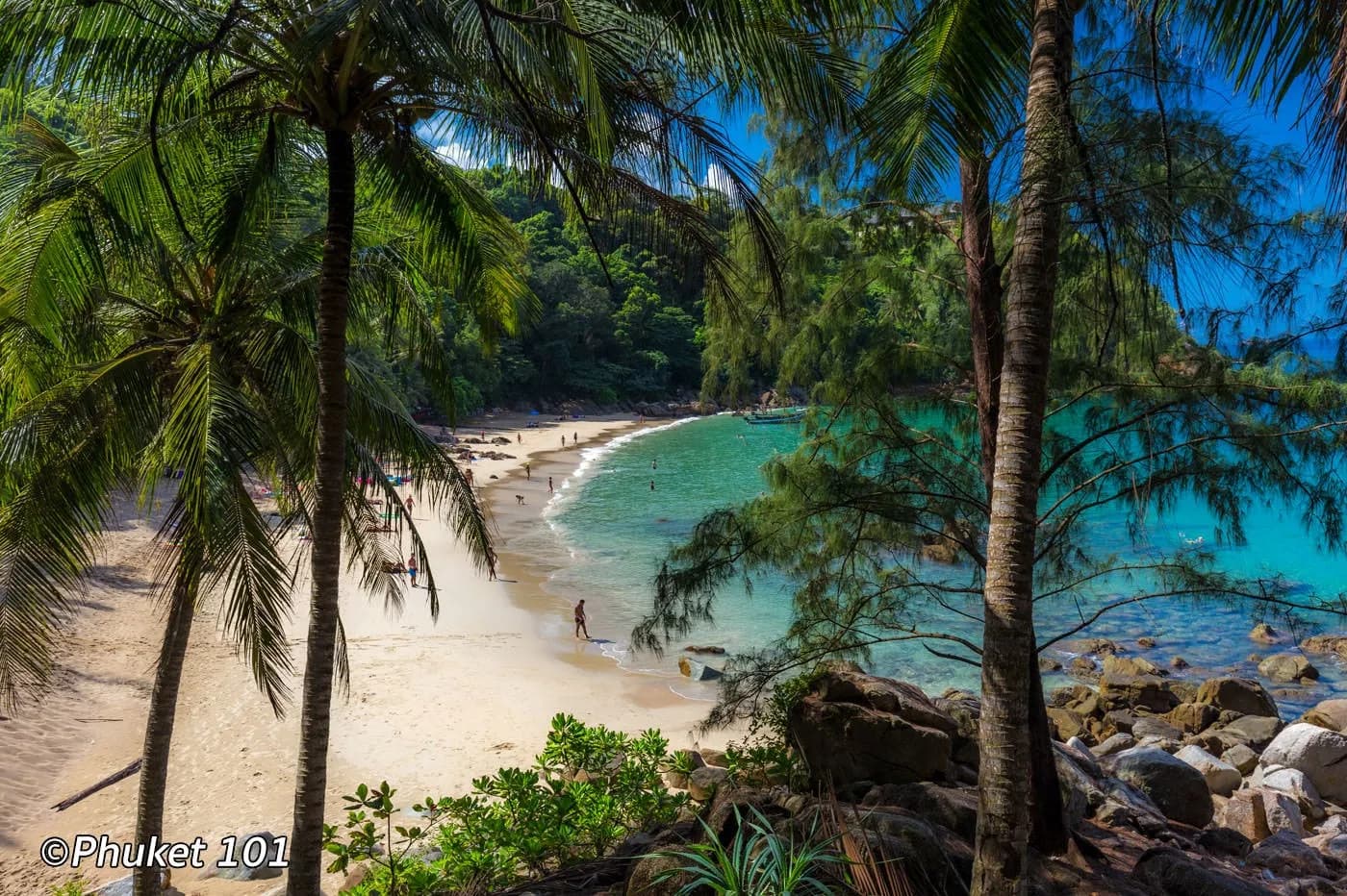the cove seen through the trees from the rocks