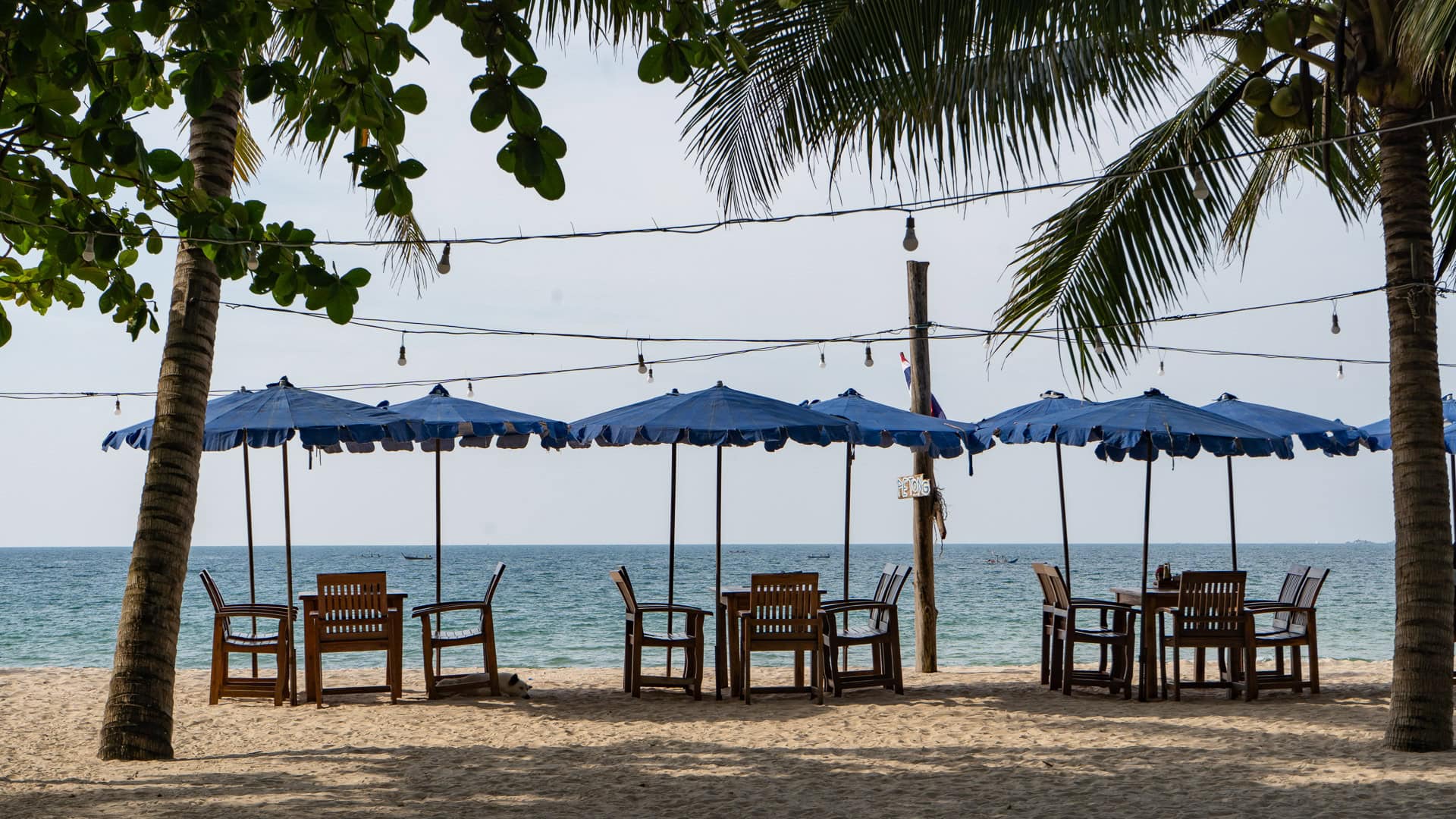 dining tables under blue umbrellas on the sand, facing the sea