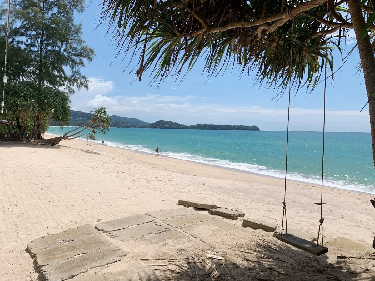 a rope swing under the trees at the top of the beach