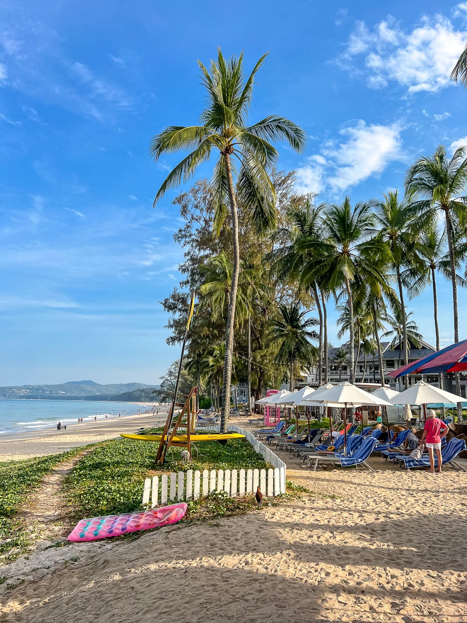 a kayak and sunbeds under the palms by the water