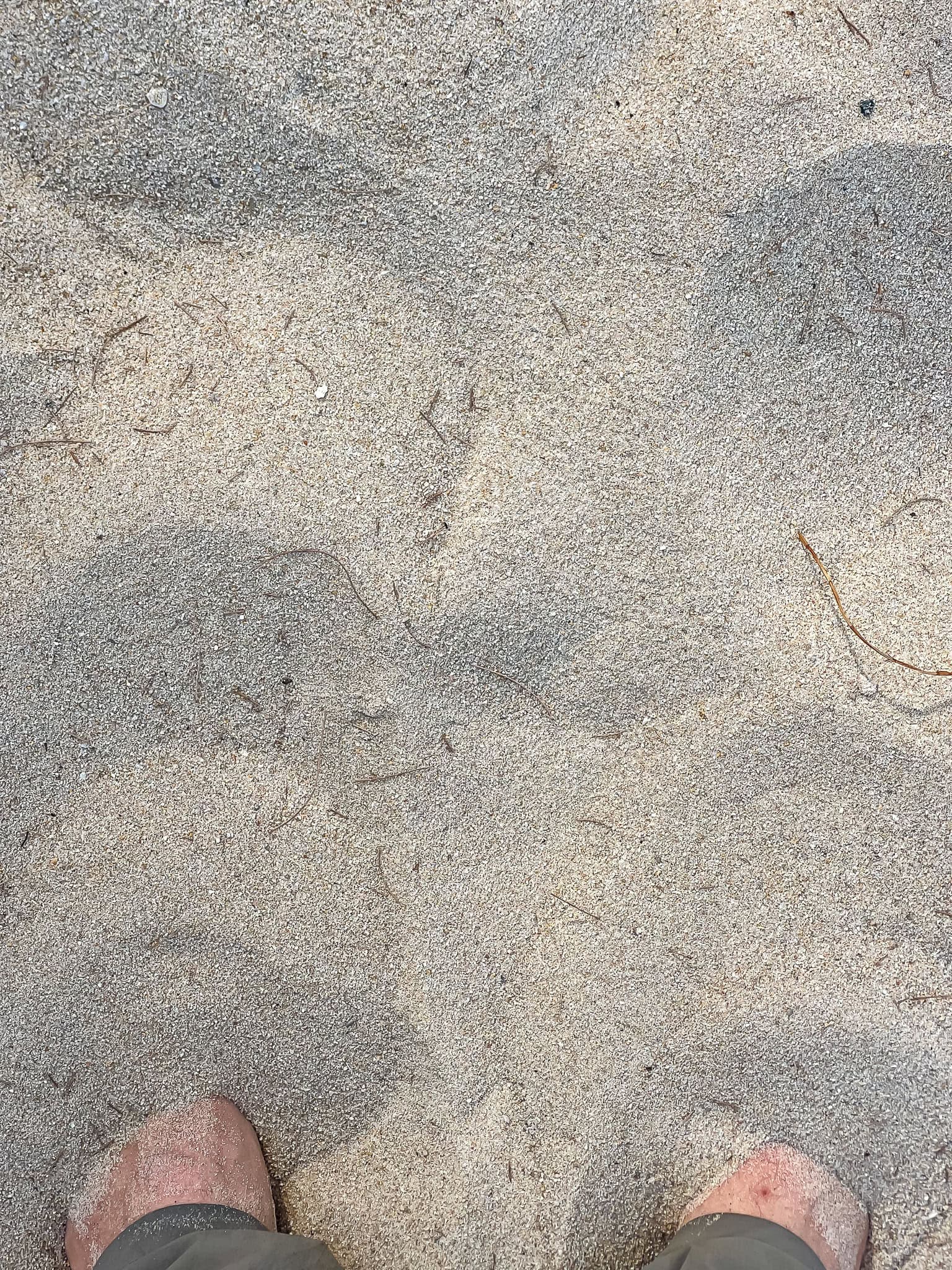 the sand close up: fine, light, with a few shell grains