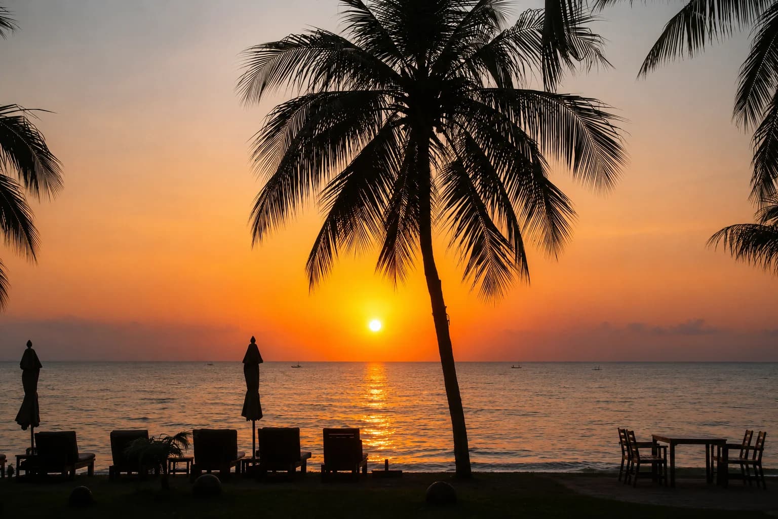 sunset over the sea behind a palm, sunbeds in silhouette