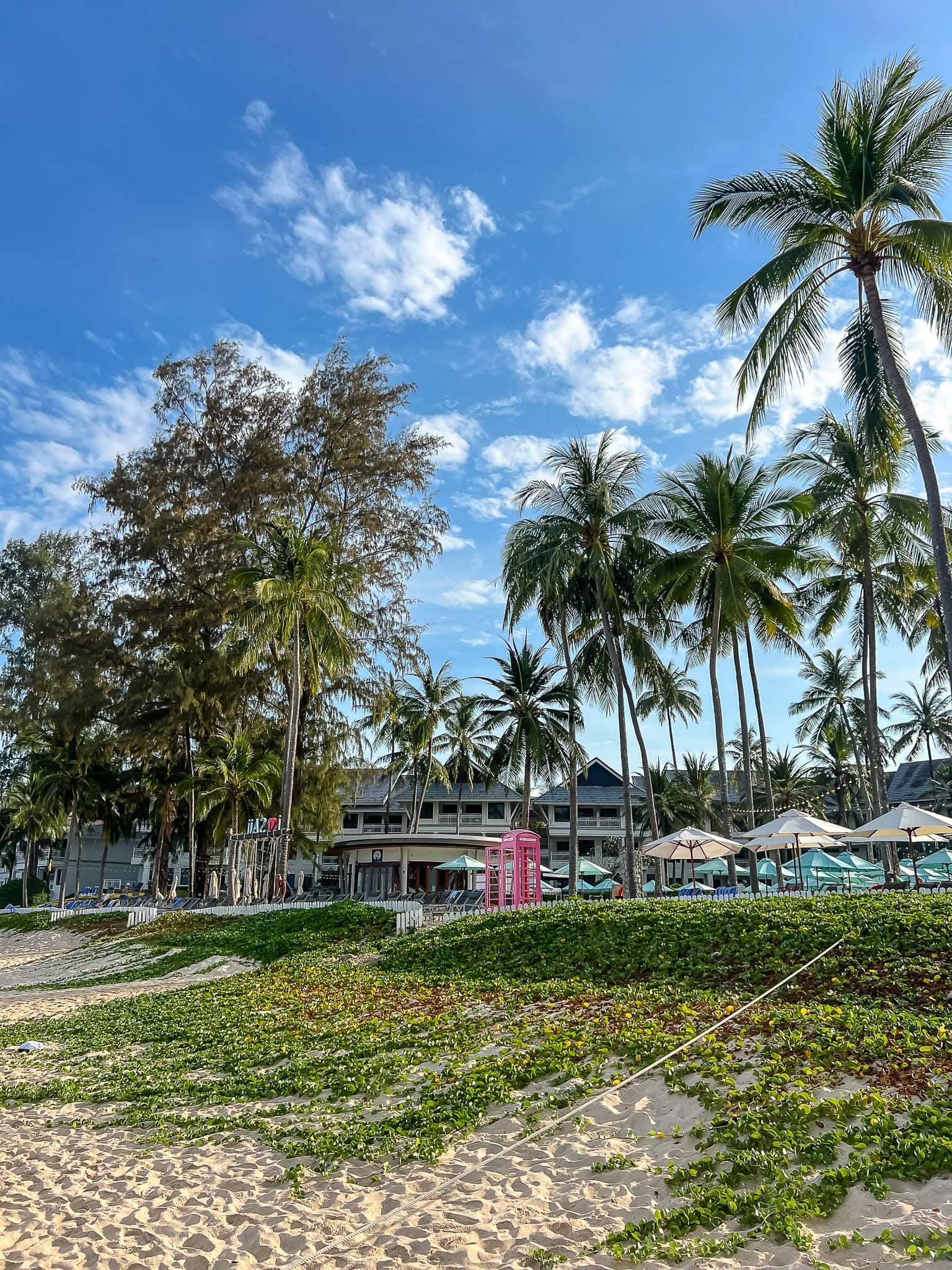 a resort's pool and palms just behind the beach