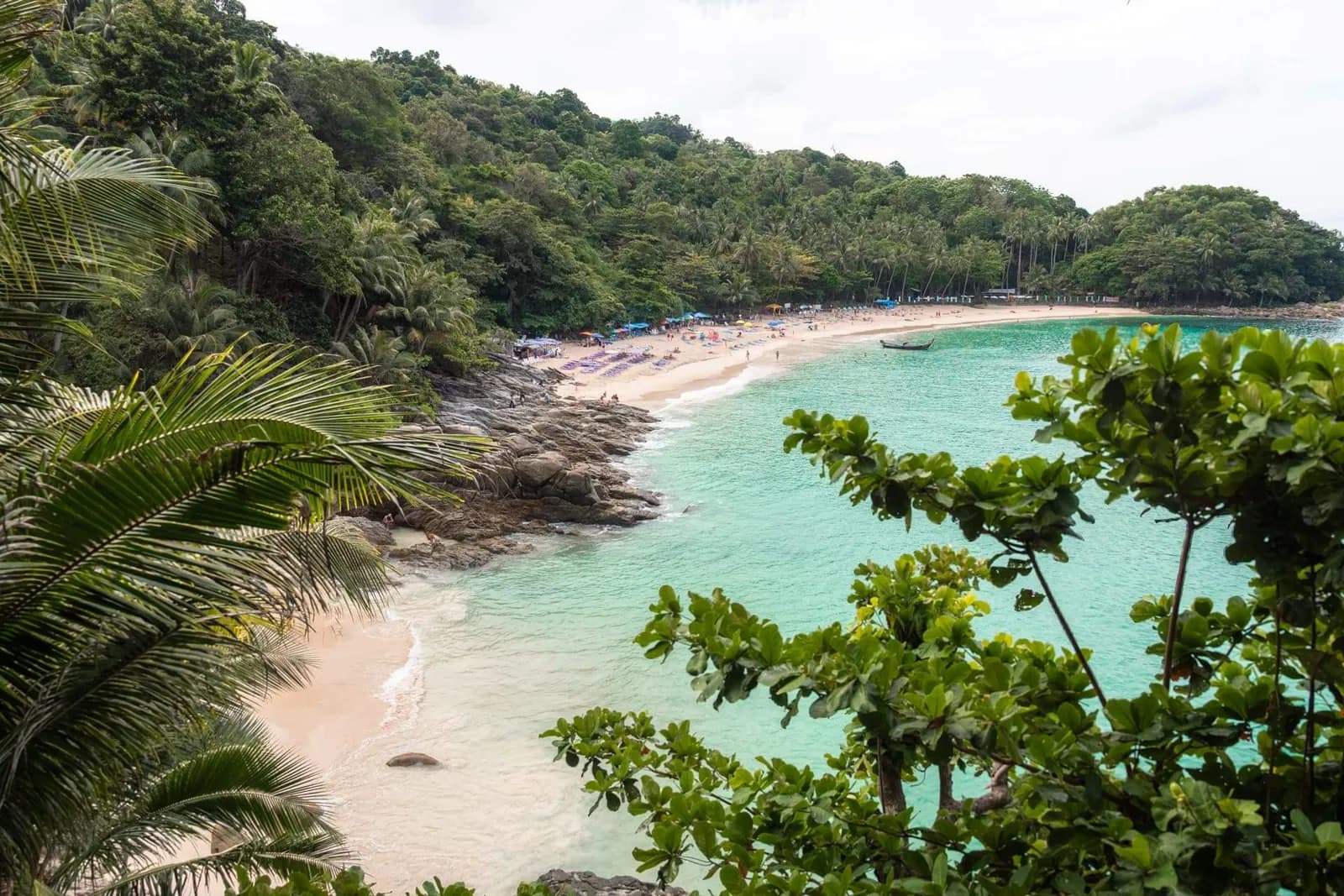 the cove from the hillside path