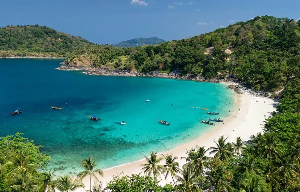 the bay from above, jungle all round