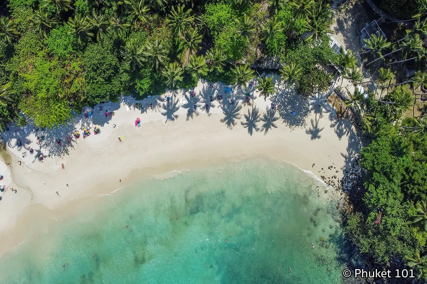 straight down on the sand and the water