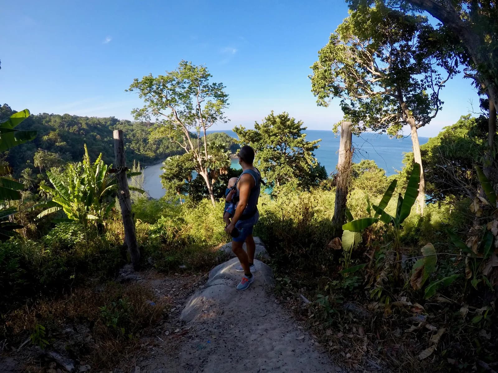 the jungle path down to the beach