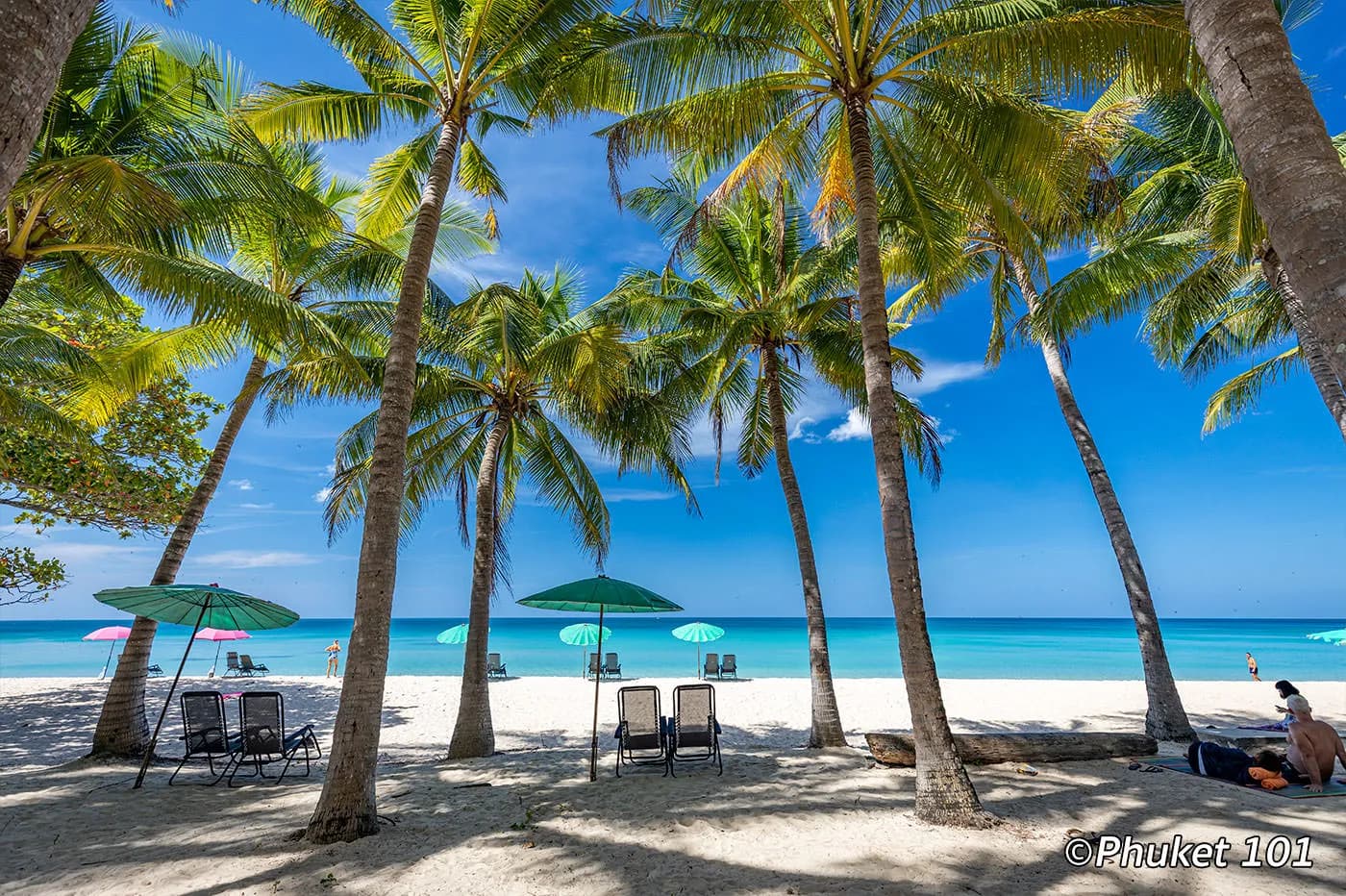 palms along the sand, sunbeds, the sea