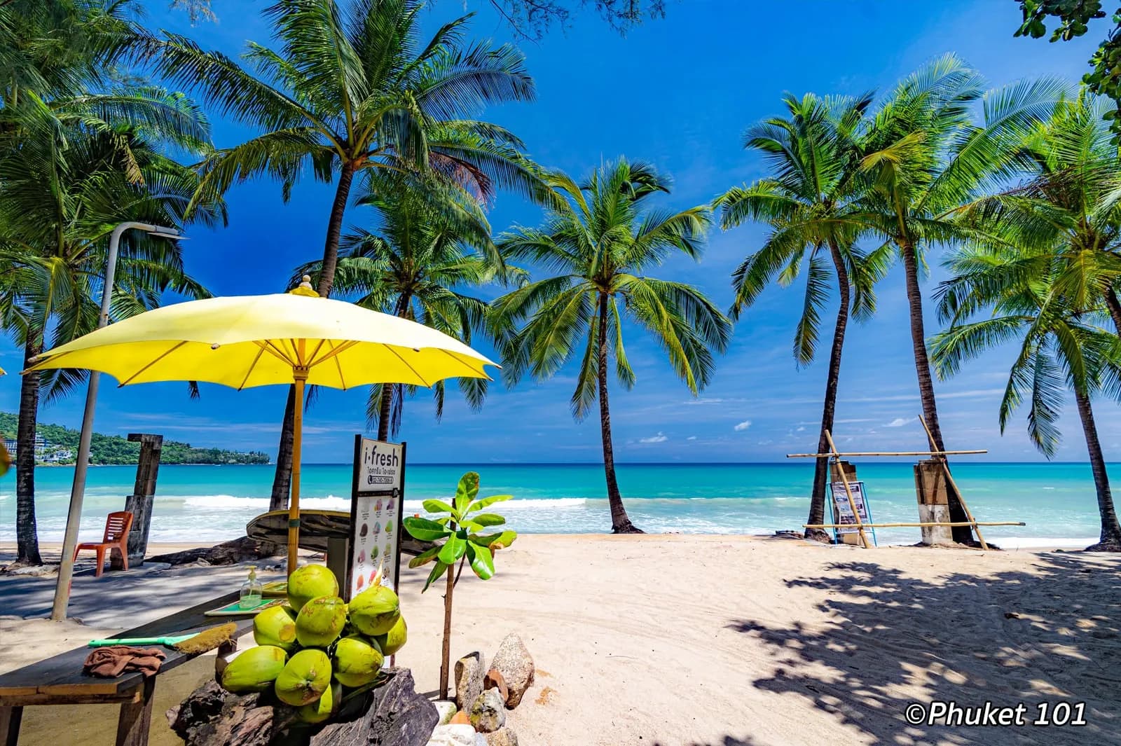 palms, a beach umbrella and the water