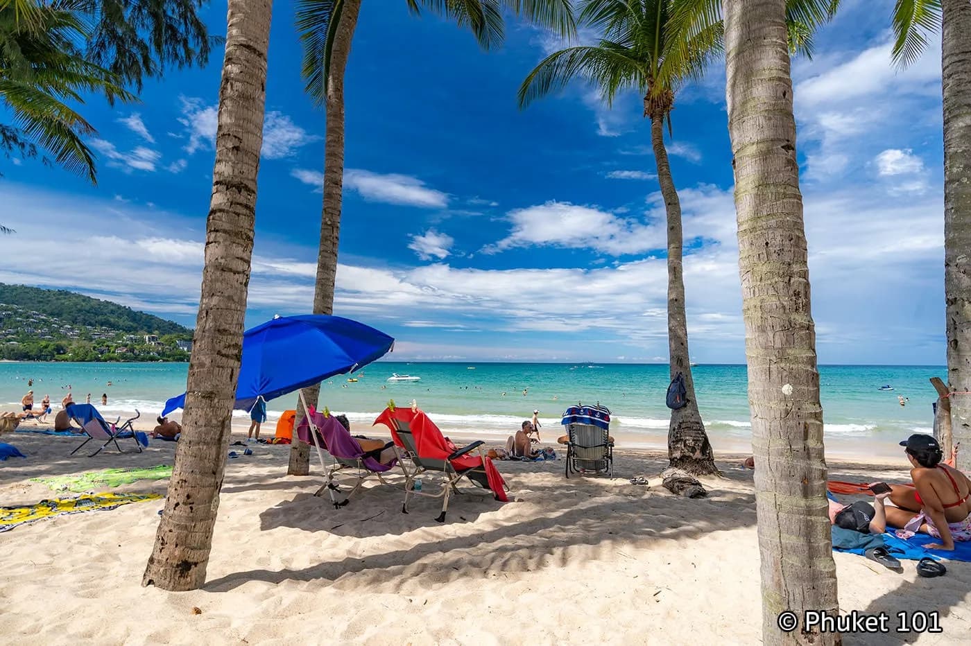 the beach under the palms
