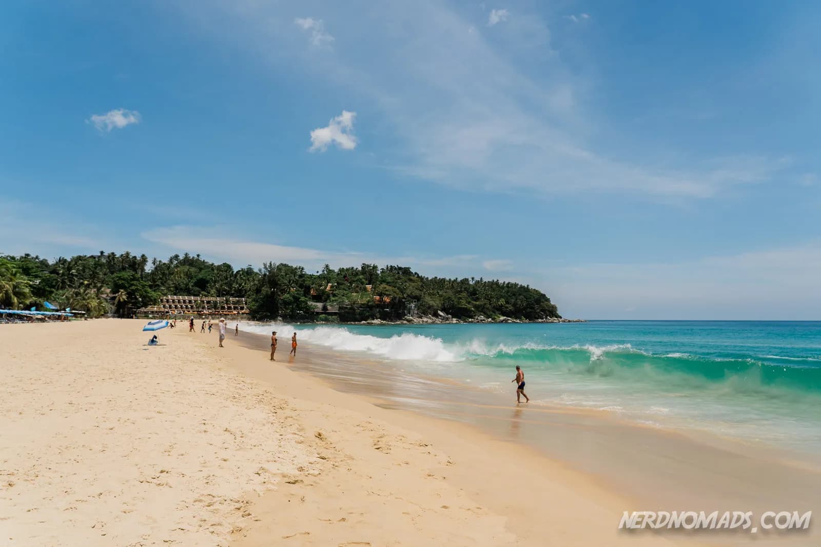 sand, surf and the tree line