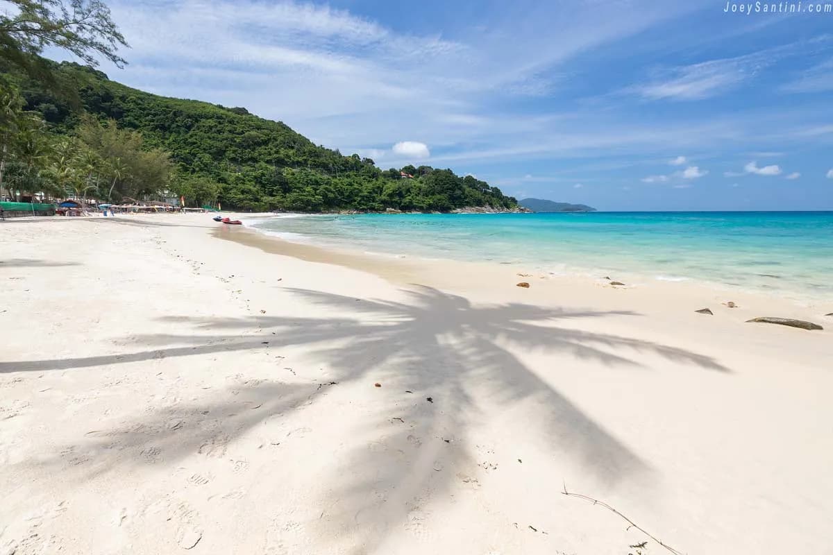 white sand and palm shadows