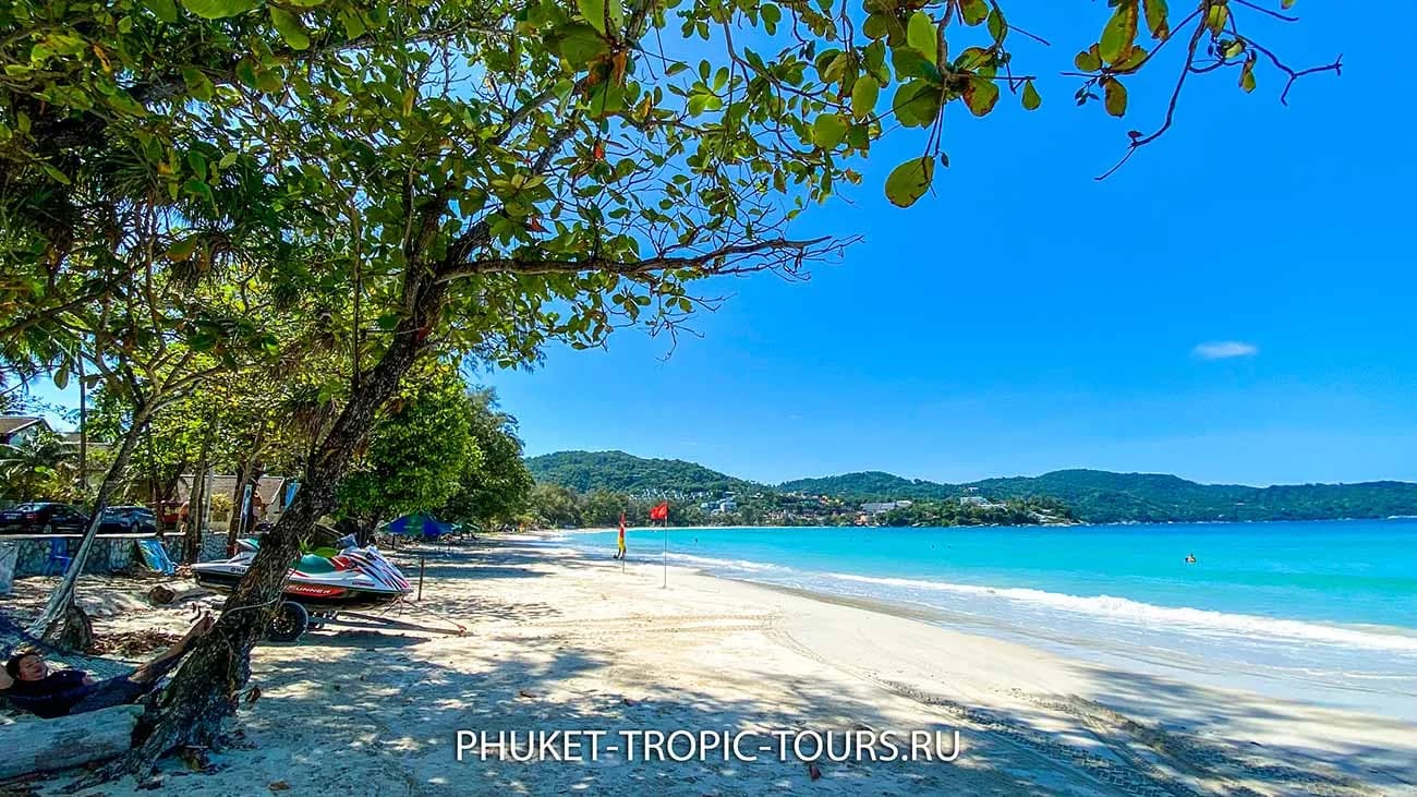 sand, trees and the water