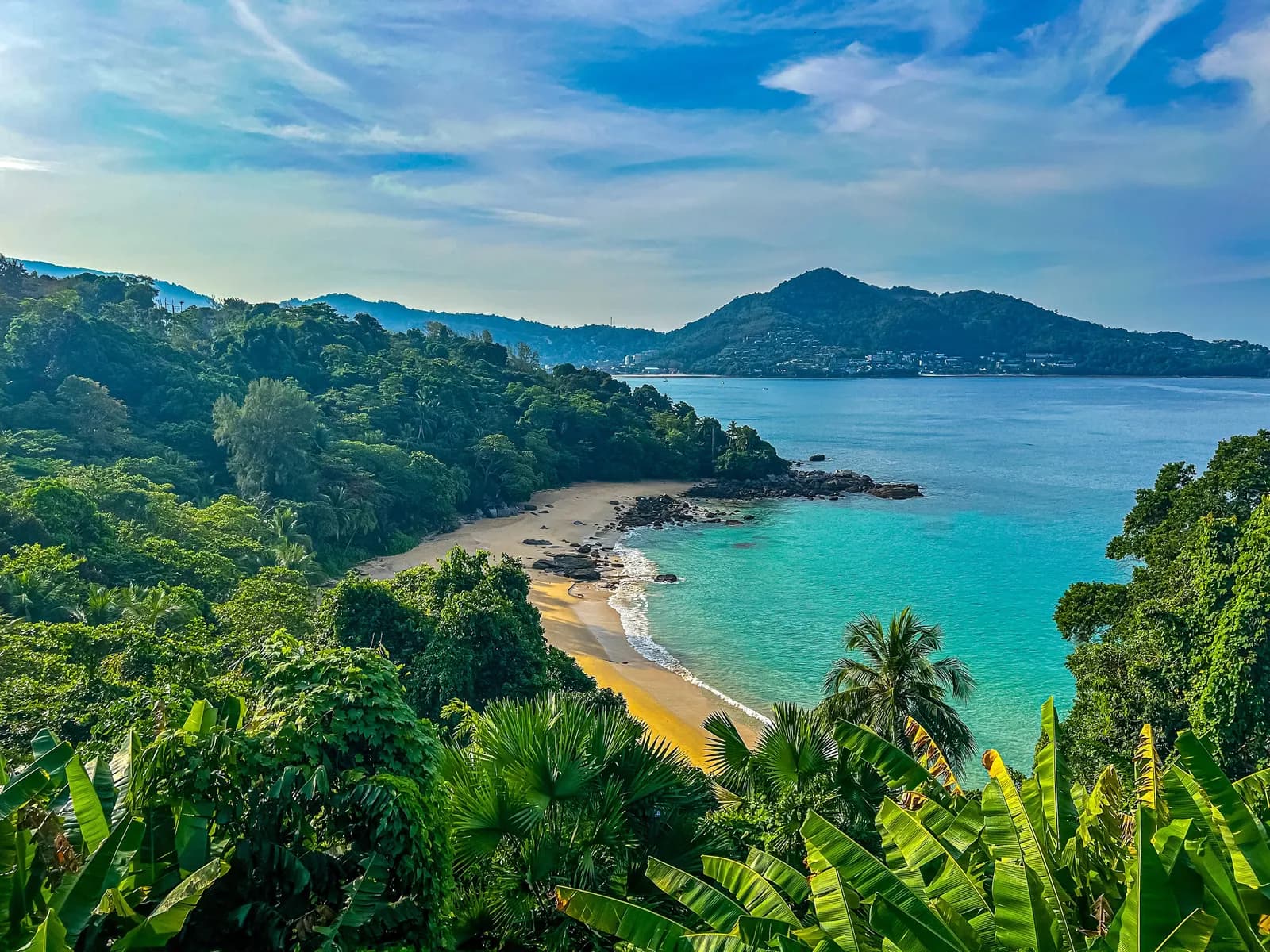 the cove in the jungle from the coast road