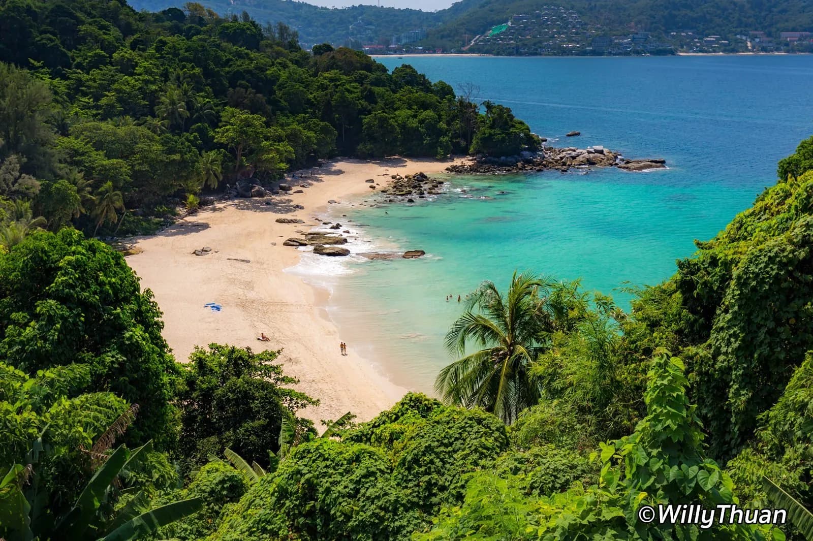 the beach and the palms from the hill