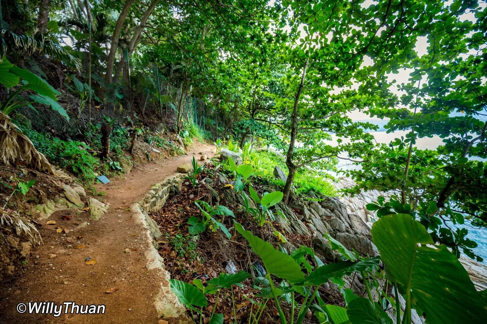 the jungle path down to the beach