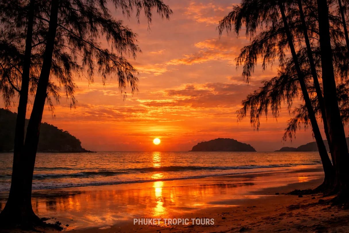 sunset behind the palms