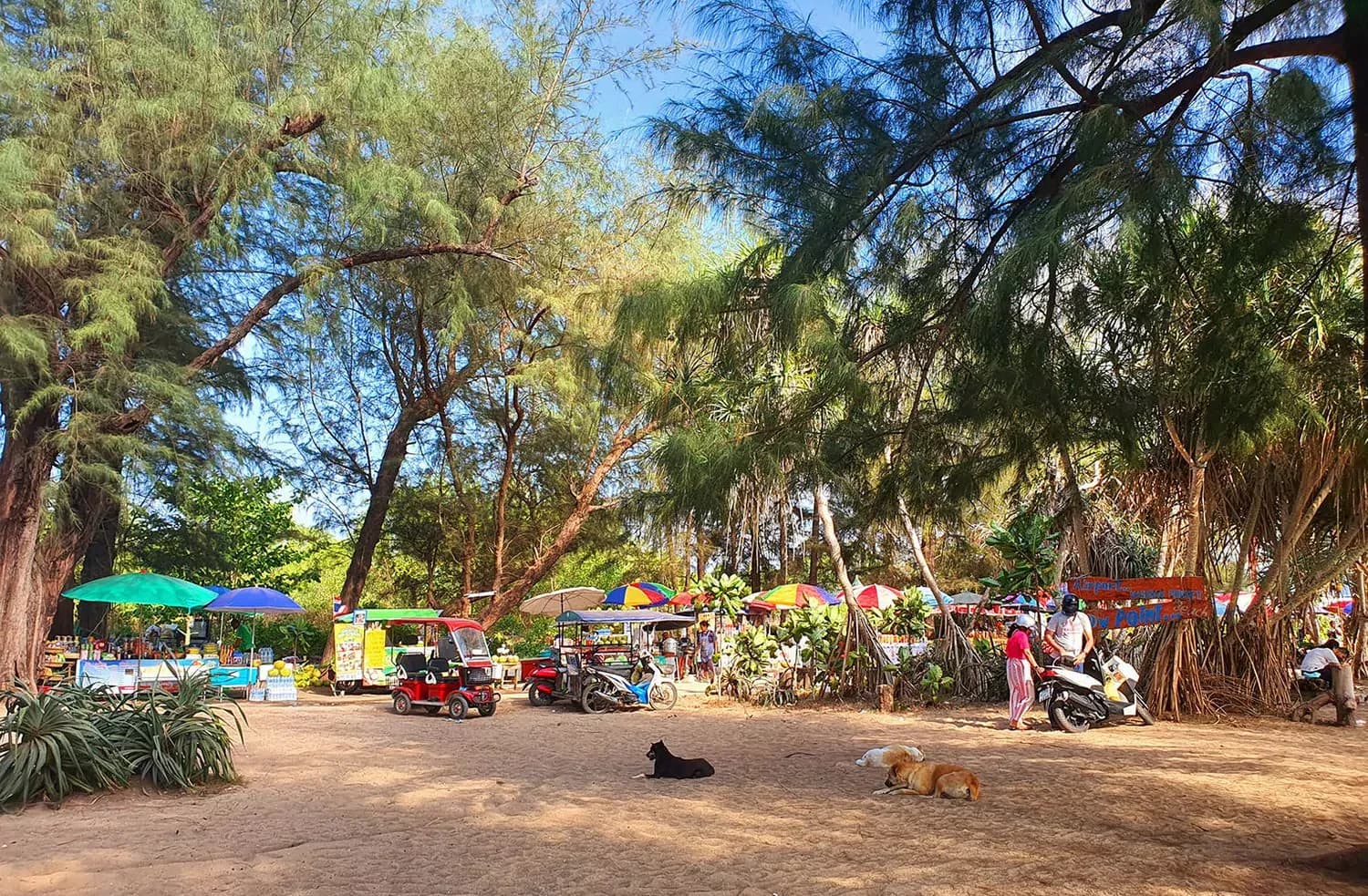 food stalls in the shade behind the beach