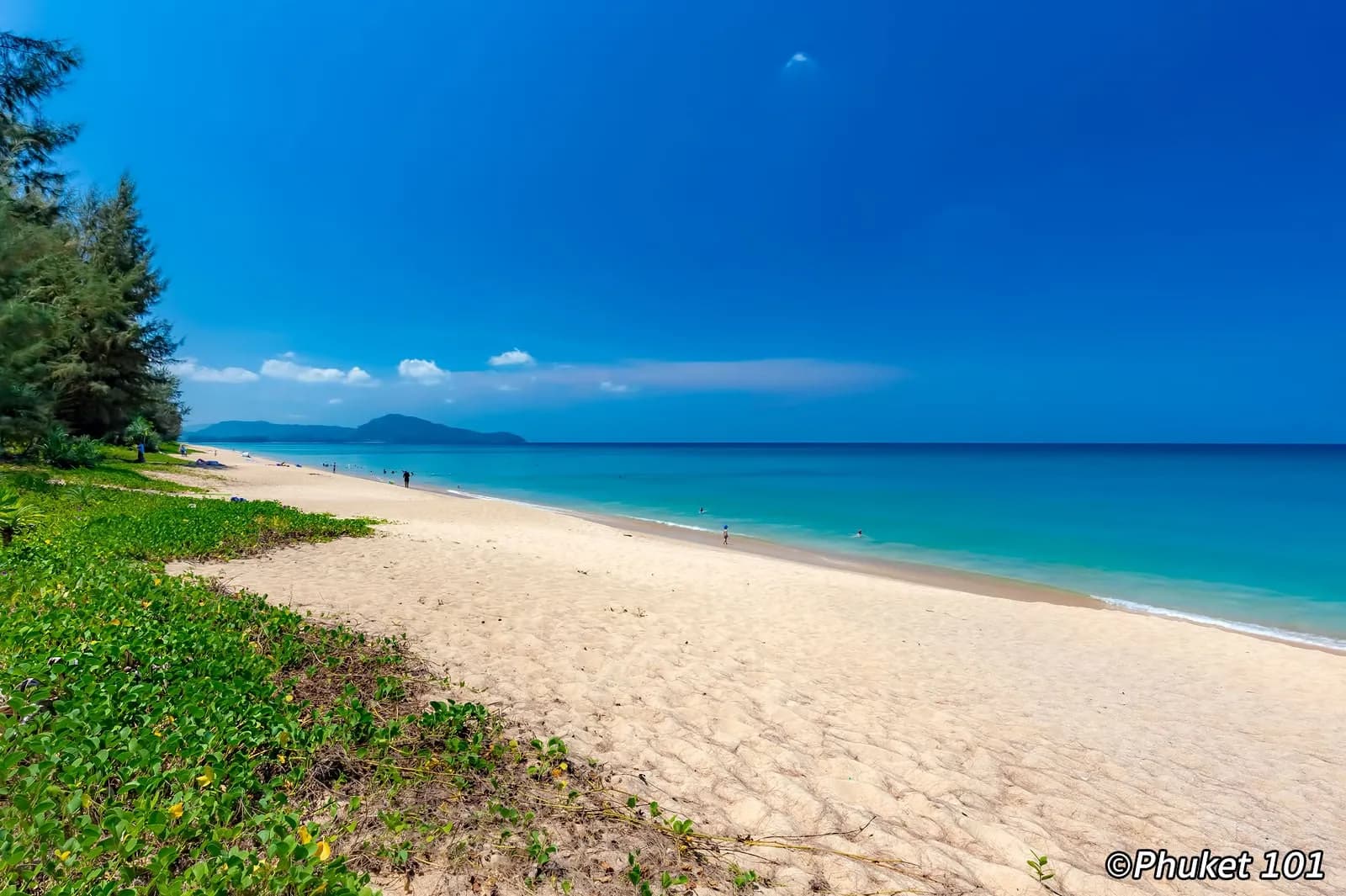 the long empty beach and the tree line