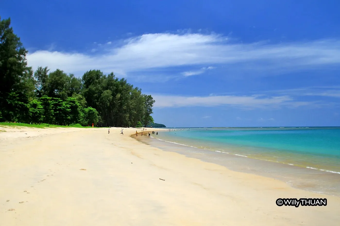 sand, surf and the casuarina trees