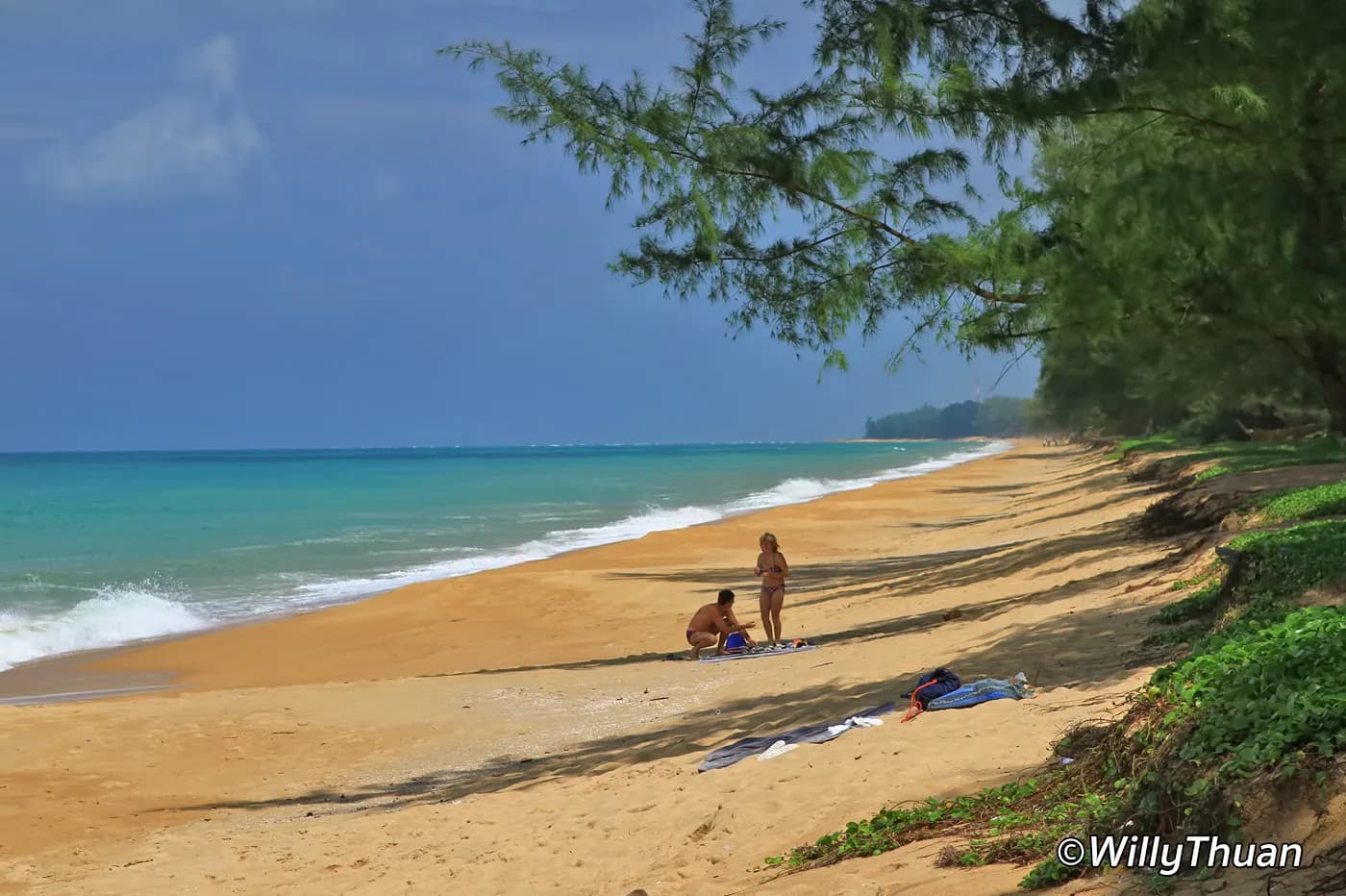the curve of the sand under the trees
