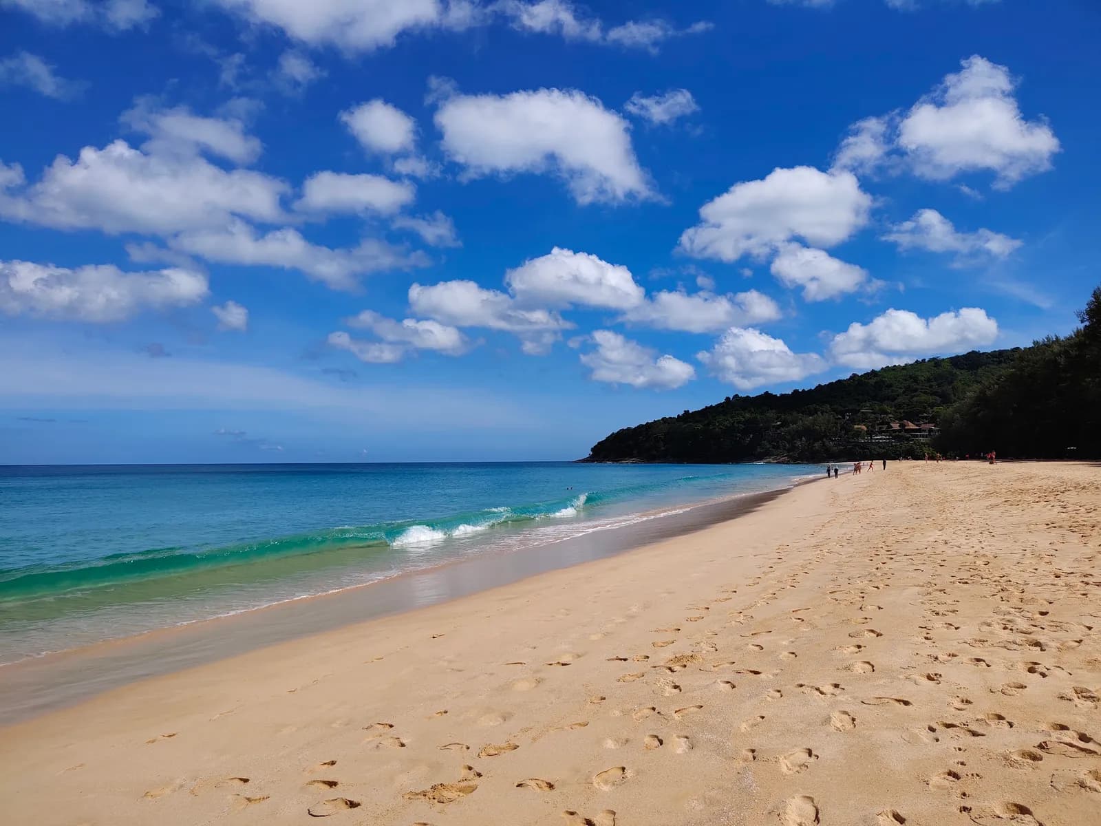 the sand, the surf and the northern headland