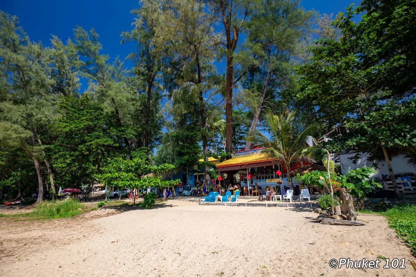 the way onto the beach under the trees