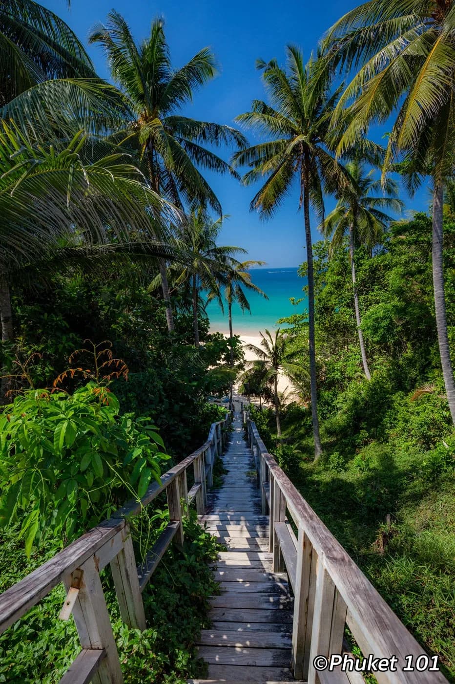 the stairway down through the jungle