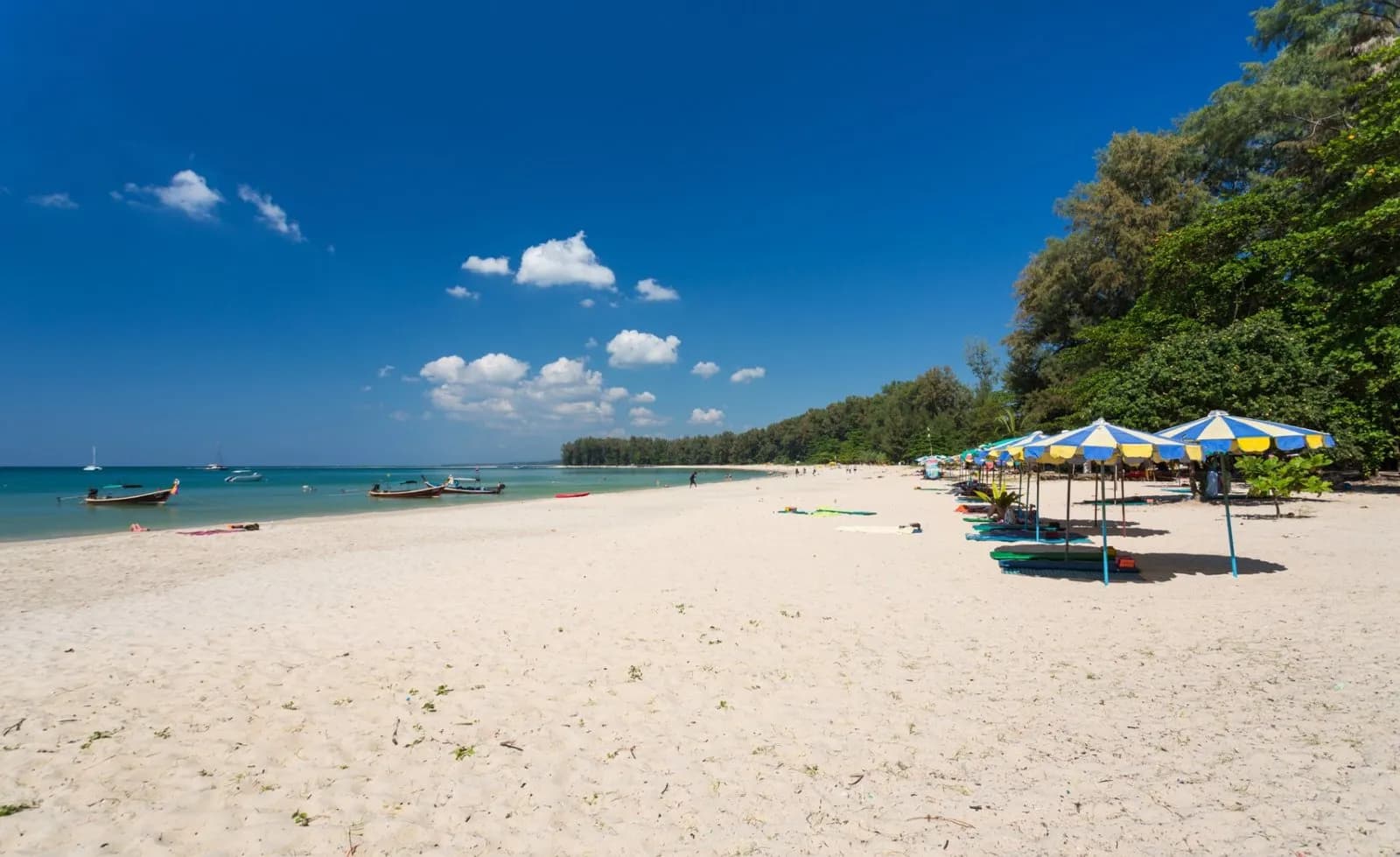 the wide sand, umbrellas under the trees
