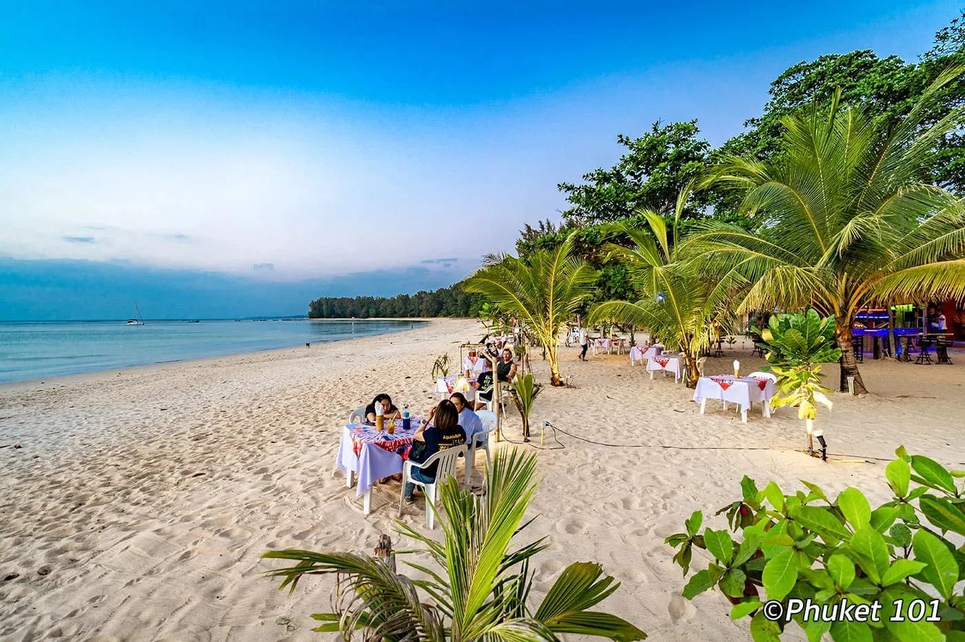 sand, palms and the bay