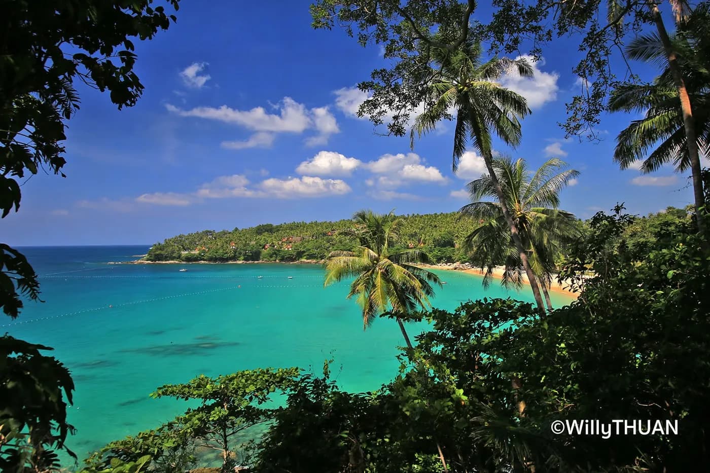 the bay through the palms, turquoise water