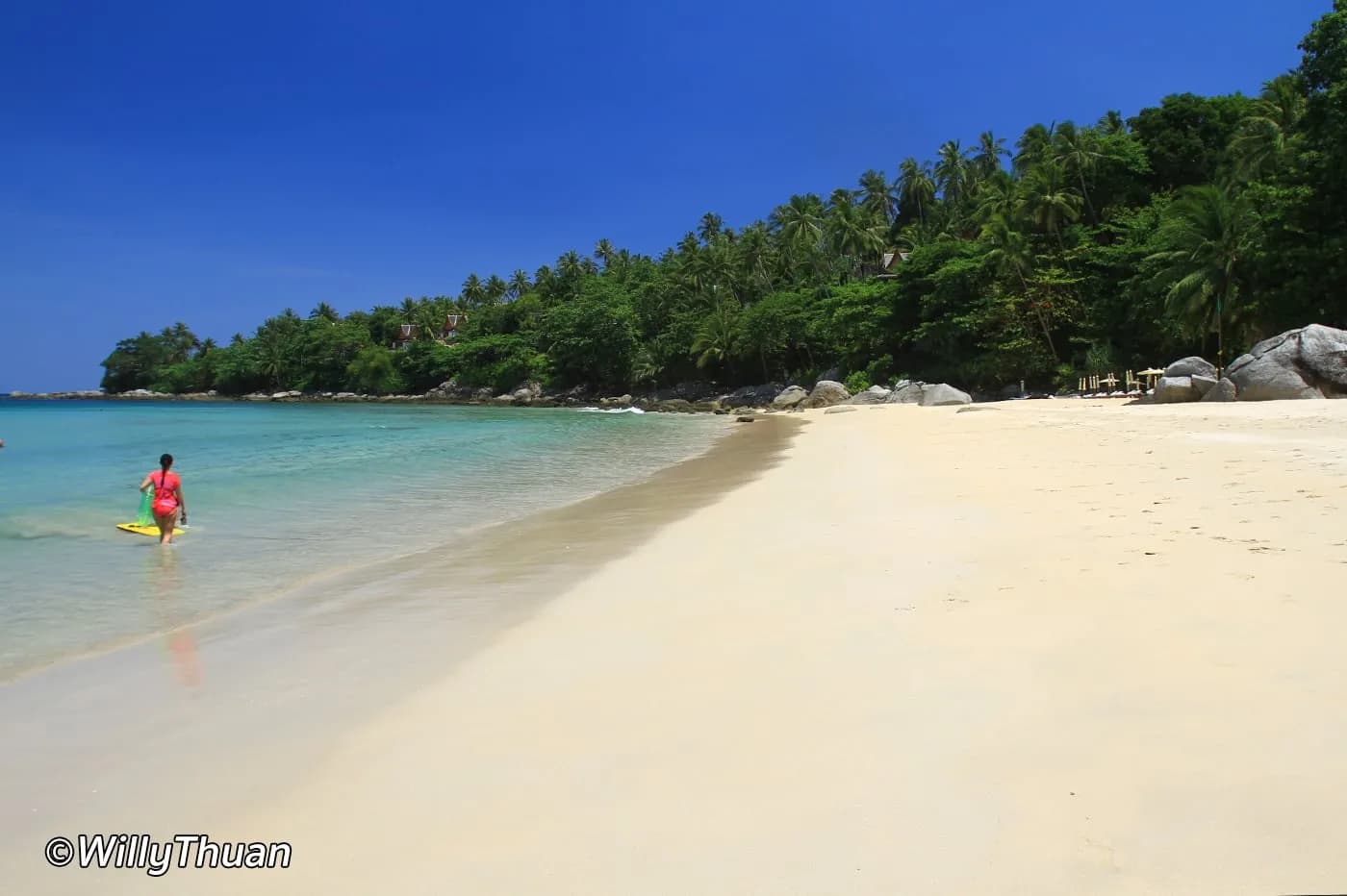 the sand curving to the wooded headland