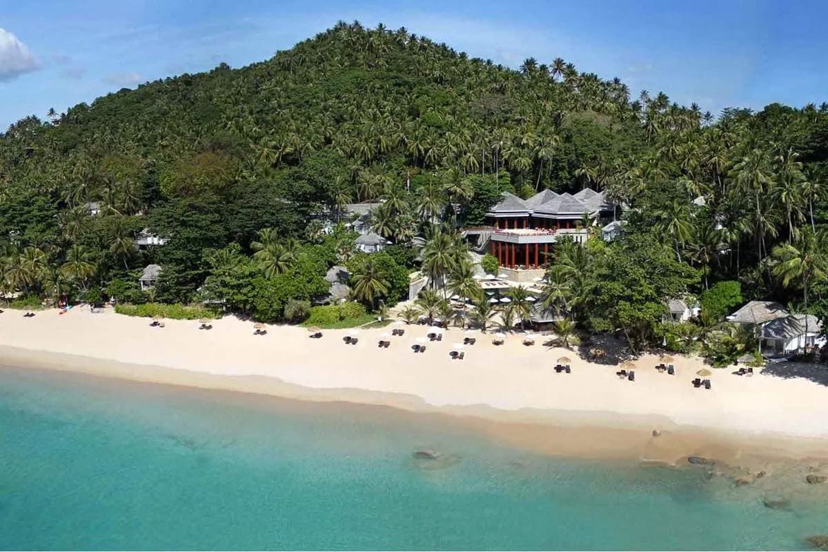 the beach and the jungle hillside from the sea