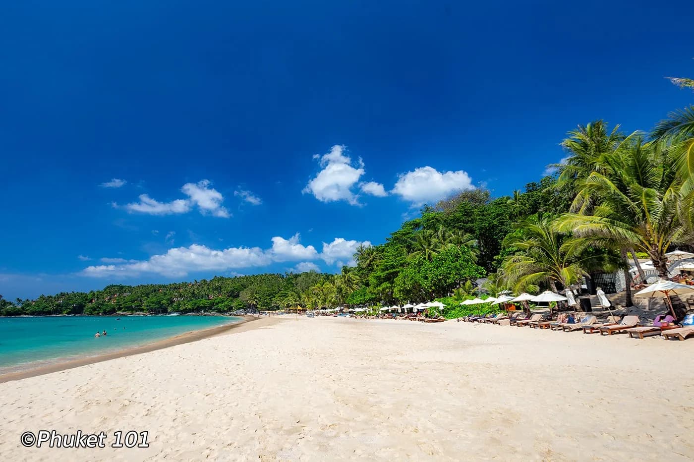 sand, water and palms