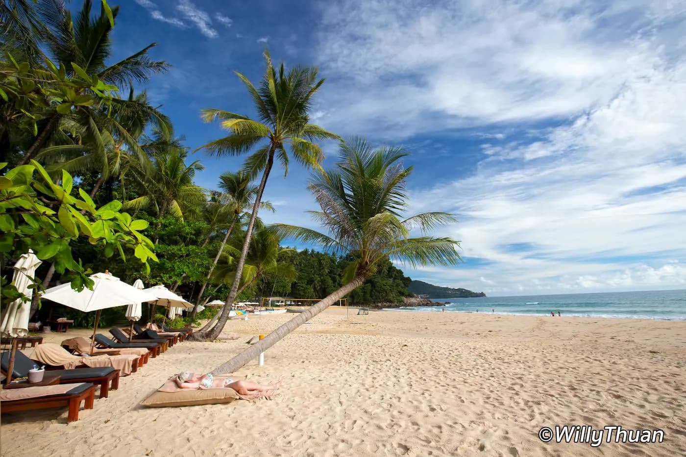 palms and loungers on the sand