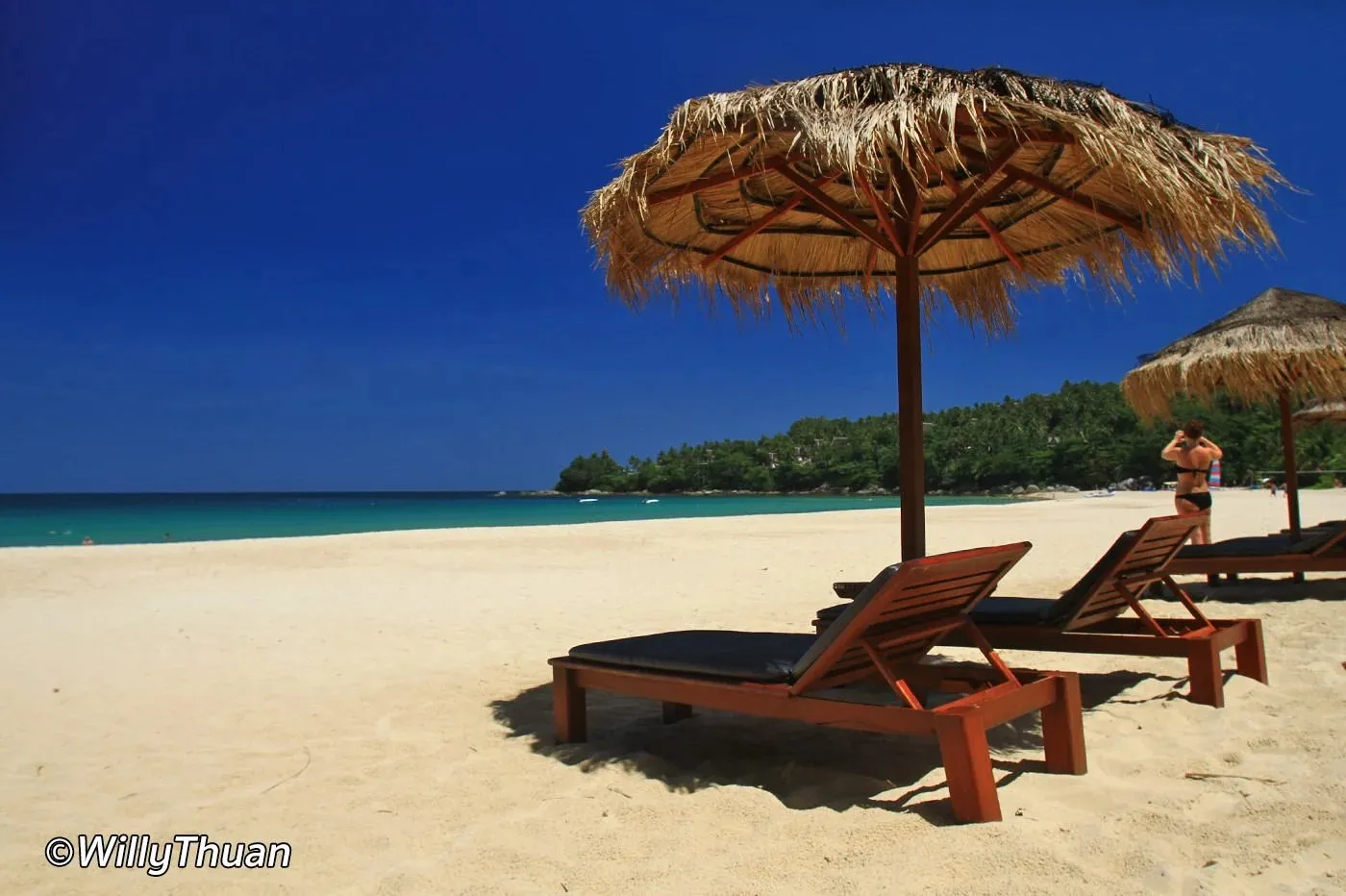 thatched umbrellas and sunbeds