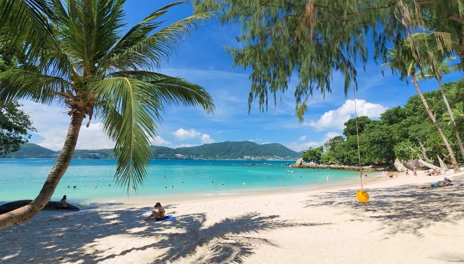 white sand, a palm and turquoise water