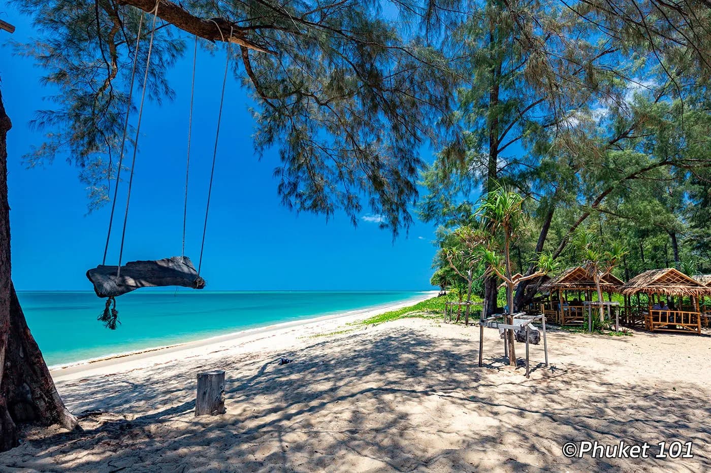 a swing and beach huts under the trees