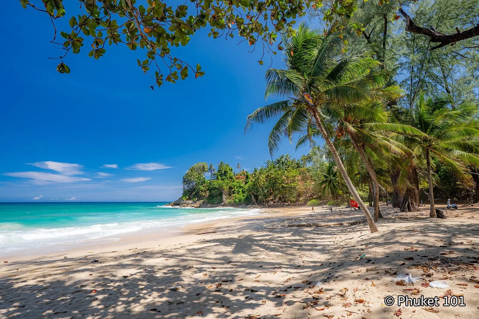 sand, palms and the turquoise sea