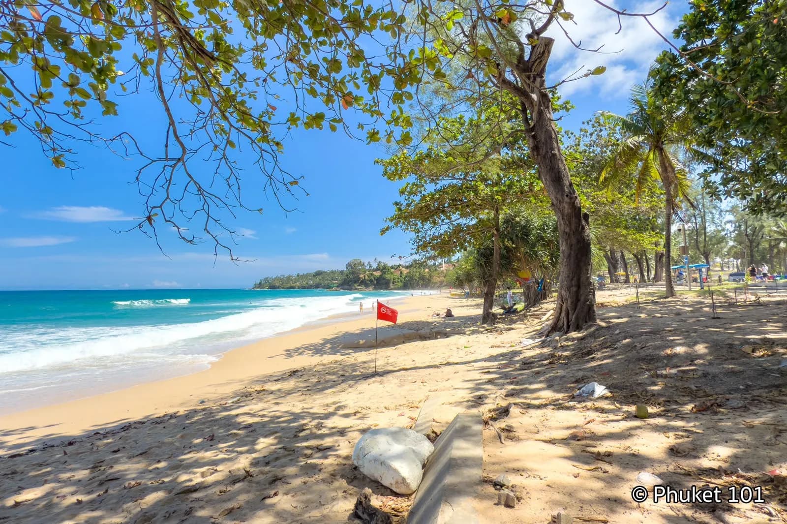 shade trees along the sand