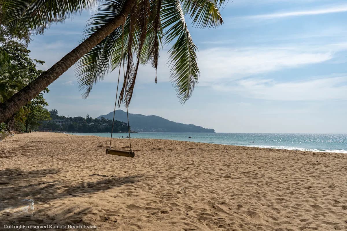a swing under a palm on the beach
