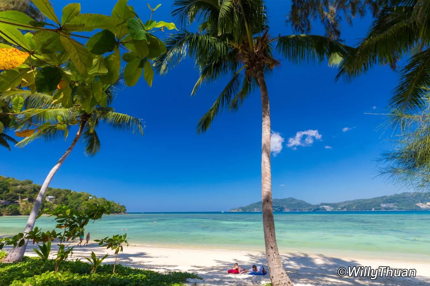 palms over the sand, Patong Bay beyond