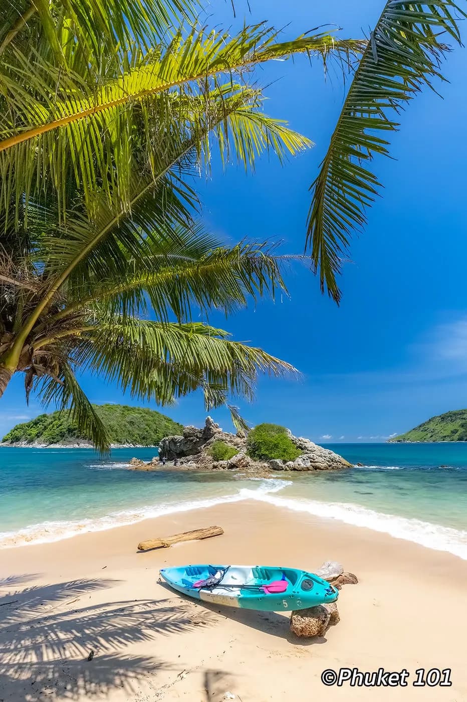 a palm over the water and the islet